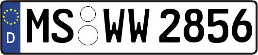MS-WW2856