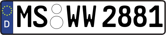 MS-WW2881