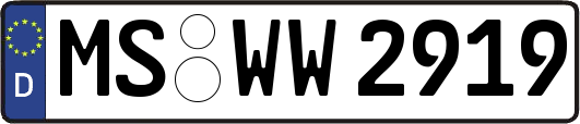 MS-WW2919
