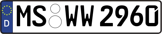 MS-WW2960