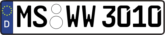 MS-WW3010
