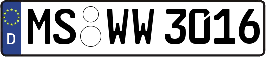 MS-WW3016