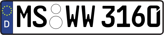 MS-WW3160