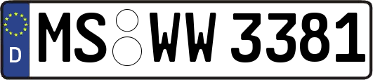 MS-WW3381
