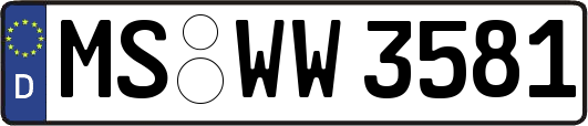 MS-WW3581