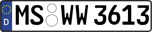 MS-WW3613