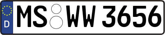 MS-WW3656