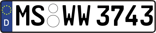 MS-WW3743