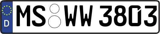 MS-WW3803