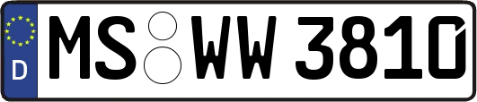 MS-WW3810