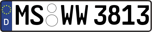MS-WW3813