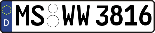 MS-WW3816
