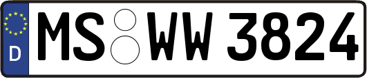 MS-WW3824