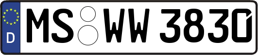 MS-WW3830