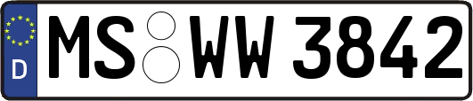 MS-WW3842