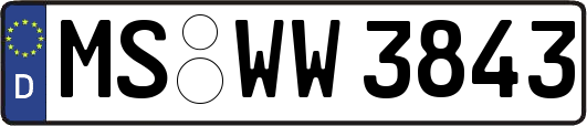 MS-WW3843