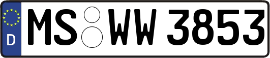MS-WW3853