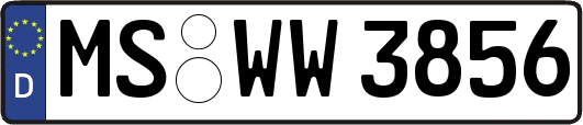 MS-WW3856