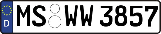MS-WW3857