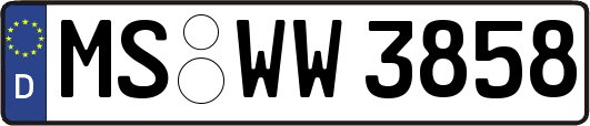 MS-WW3858