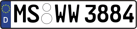 MS-WW3884