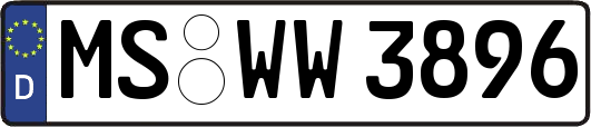 MS-WW3896