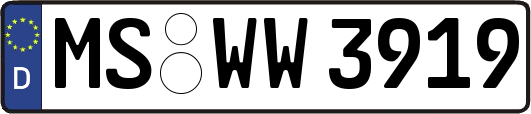 MS-WW3919