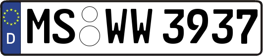 MS-WW3937