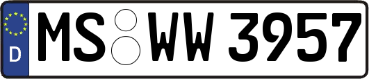 MS-WW3957