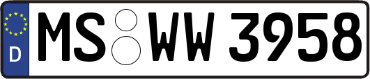 MS-WW3958