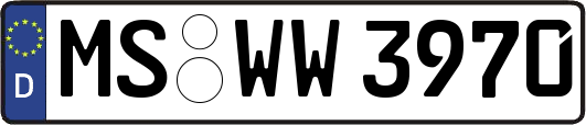 MS-WW3970