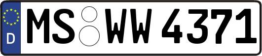 MS-WW4371