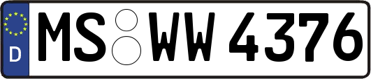 MS-WW4376
