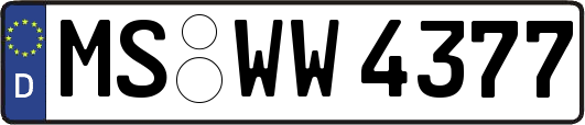 MS-WW4377