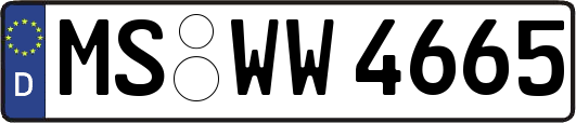 MS-WW4665