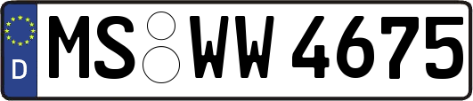 MS-WW4675