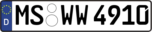 MS-WW4910