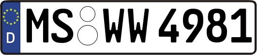 MS-WW4981