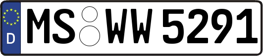 MS-WW5291