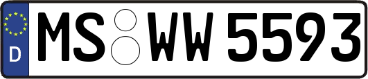 MS-WW5593
