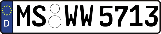 MS-WW5713