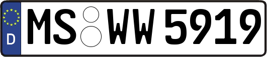 MS-WW5919