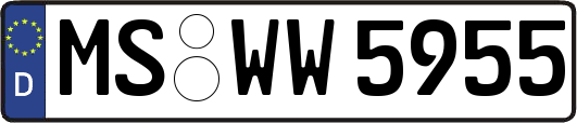 MS-WW5955