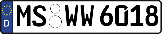 MS-WW6018