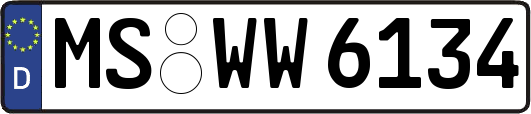 MS-WW6134