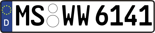 MS-WW6141