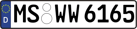 MS-WW6165