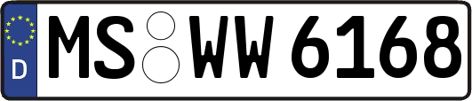 MS-WW6168