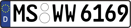 MS-WW6169
