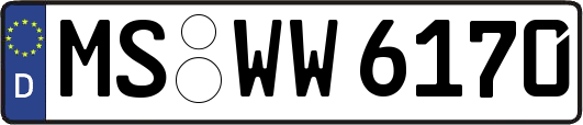 MS-WW6170